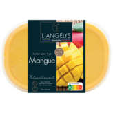 Plein Fruit L'ANGELYS Sorbet plein fruit - Parfum mangue - 500g