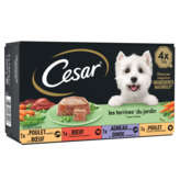 Cesar CESAR Les recettes de campagne - Traiteur - Terrine pour chien - Poulet - volaille - bœuf - gibier et légumes - 4x150g